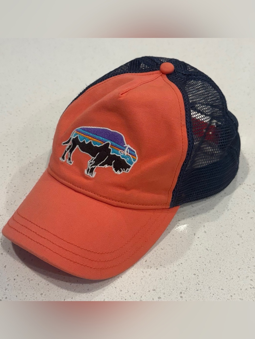 Patagonia Fitz Roy Bison Layback Trucker Hat
